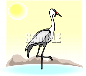 Bird Clipart