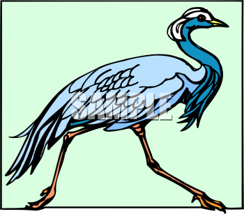 Bird Clipart