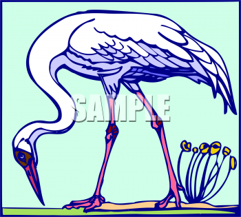 Bird Clipart