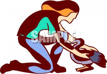 Bird Clipart