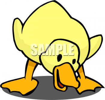 Bird Clipart