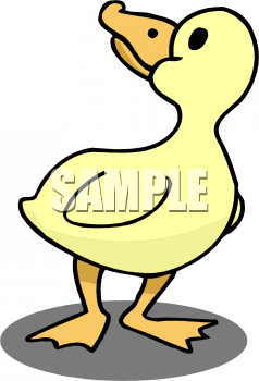 Bird Clipart