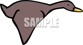 Bird Clipart