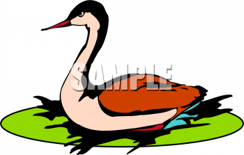 Bird Clipart