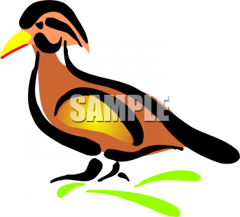 Bird Clipart