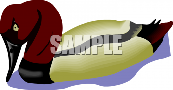 Bird Clipart