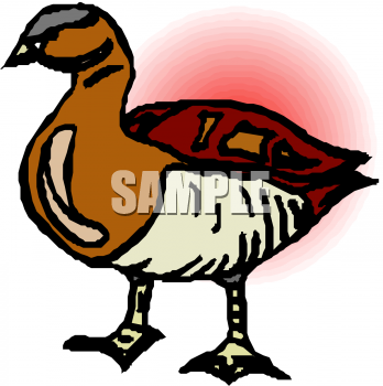 Bird Clipart