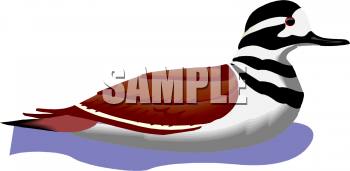 Bird Clipart