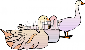 Farm Animal Clipart