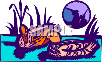 Bird Clipart
