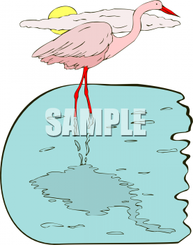 Bird Clipart