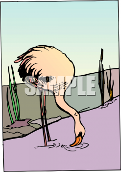 Bird Clipart