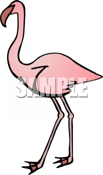 Bird Clipart