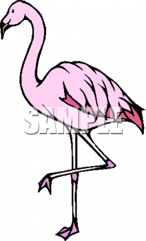 Bird Clipart