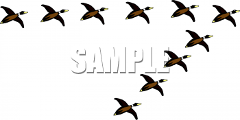 Farm Animal Clipart