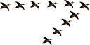 Farm Animal Clipart
