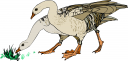 Farm Animal Clipart
