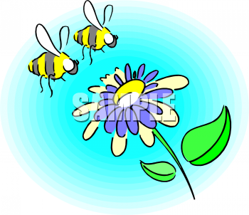 Insect Clipart