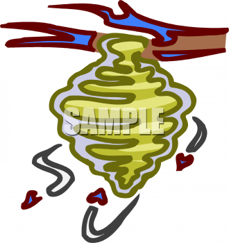 Insect Clipart