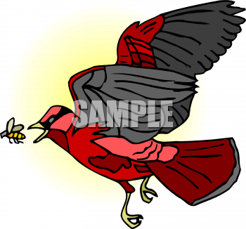 Bird Clipart
