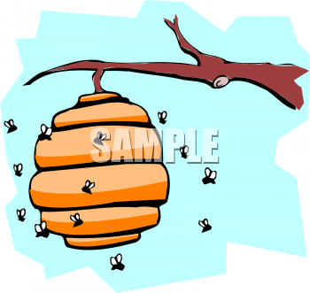 Insect Clipart