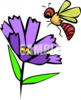 Insect Clipart