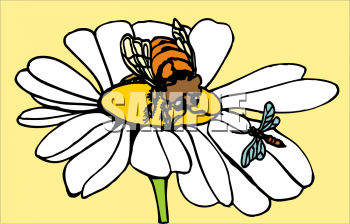 Insect Clipart