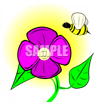 Insect Clipart