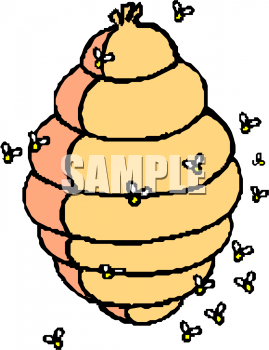 Insect Clipart
