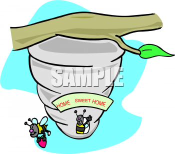 Insect Clipart