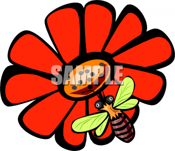 Insect Clipart