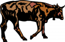 Farm Animal Clipart