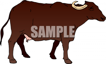 Farm Animal Clipart