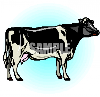 Farm Animal Clipart