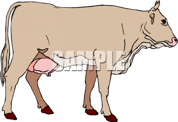 Farm Animal Clipart