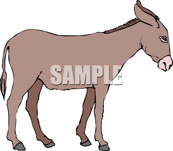 Horse Clipart