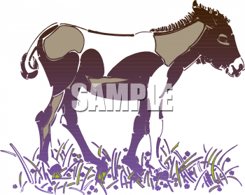 Horse Clipart