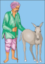 Horse Clipart