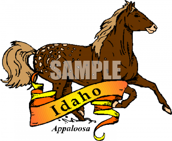 Horse Clipart