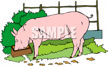 Farm Animal Clipart