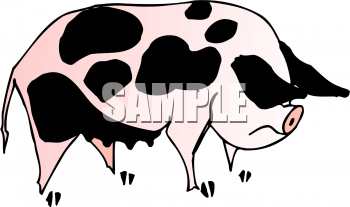 Farm Animal Clipart