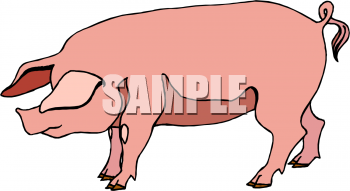 Farm Animal Clipart