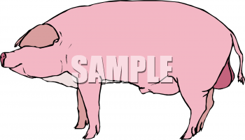 Farm Animal Clipart
