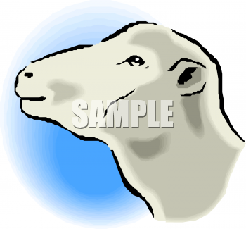Farm Animal Clipart