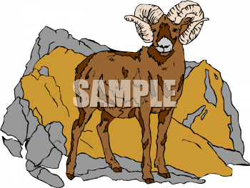 Farm Animal Clipart