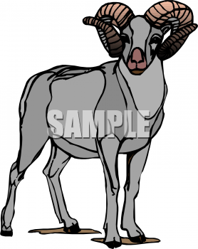 Farm Animal Clipart