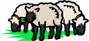 Farm Animal Clipart