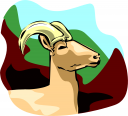 Farm Animal Clipart