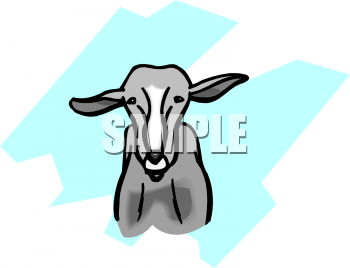 Farm Animal Clipart