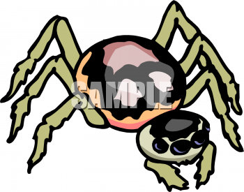 Insect Clipart